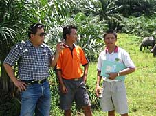 Dr Peter Lee of Sabah Veterinary Services (left) and plantation staff at Sapi Plantations near Sandakan, Sabah