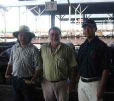 Darmawan Prasada (left) and Petrus Budihargo (right) of AustAsia, PT Santosa Agrindo discuss the progress of the Australian buffalo with Neil Ross from the NT BIC